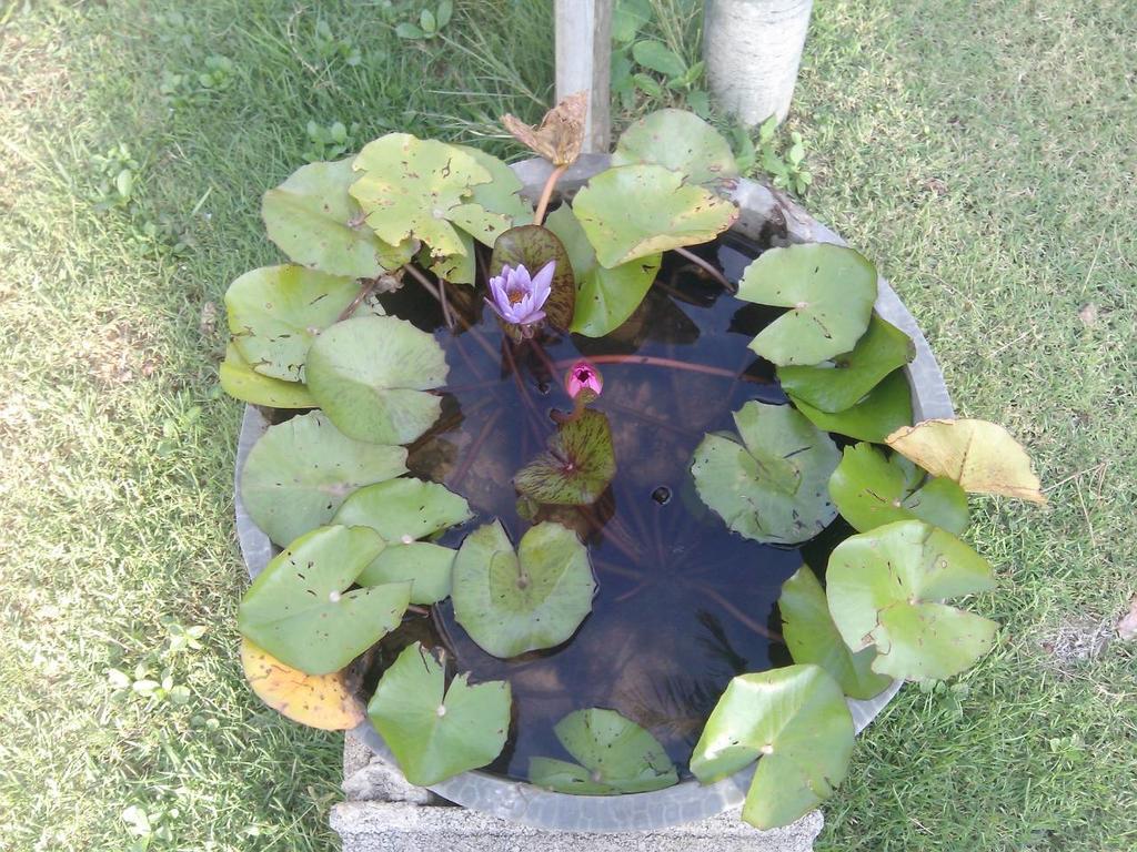 Angel Lanta Bungalow Koh Lanta Ngoại thất bức ảnh