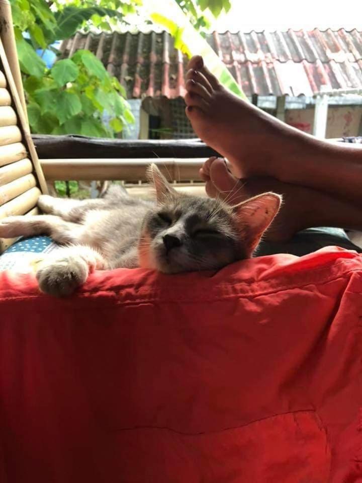 Angel Lanta Bungalow Koh Lanta Ngoại thất bức ảnh